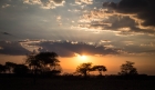 sunset in Tarangire National Park, Tanzania